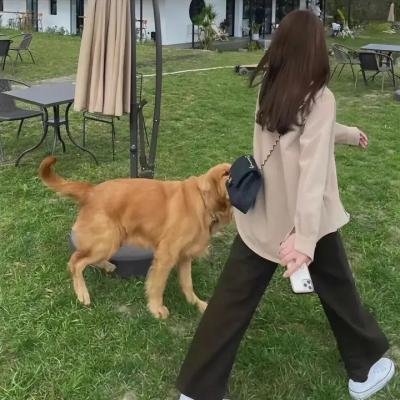 知女莫若母